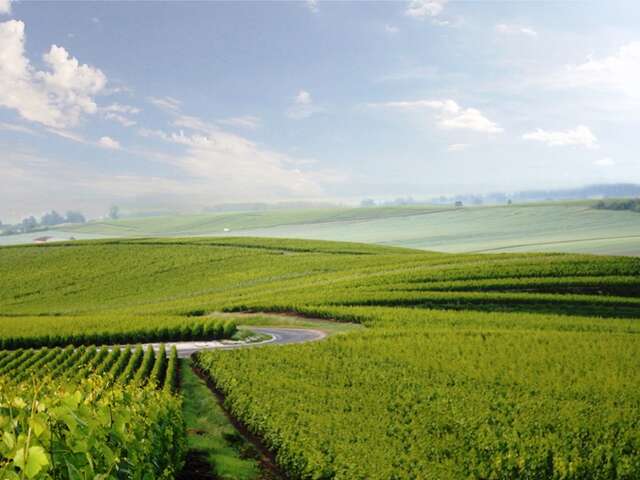 Champagne Yveline Prat