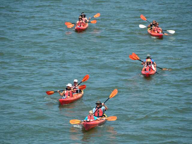 Escapades : Sortie en kayak au Lac du Der