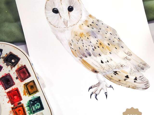 Ateliers d'initiation à l'illustration animalière