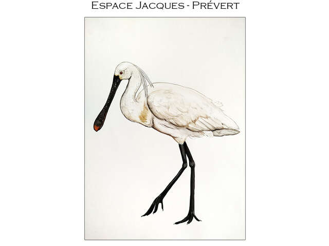 Exposition : Léna KEOHAVONG