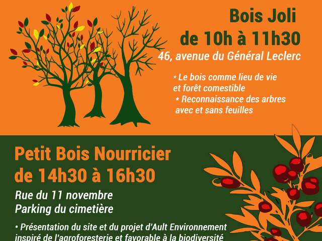 Sorties nature et plantations d'automne