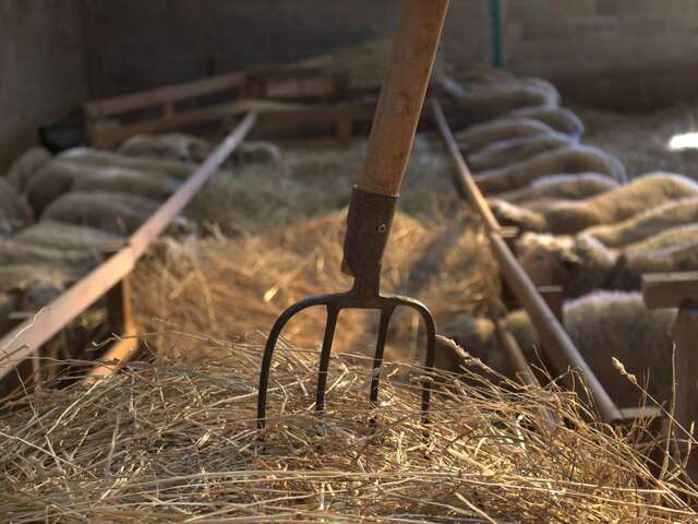 Ferme de la Genevroye