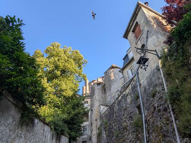 Porte des Chenizelles