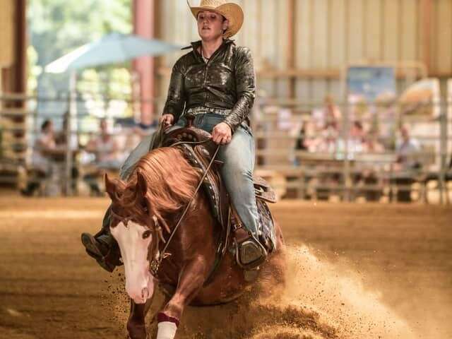 Centre Equitation Western : Emy Reining Horses