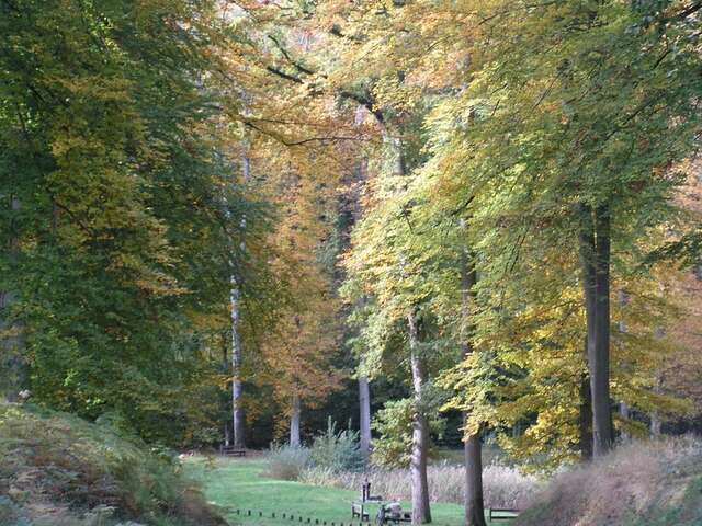 La forêt de Retz