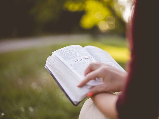 Lecture à la plage Ault
