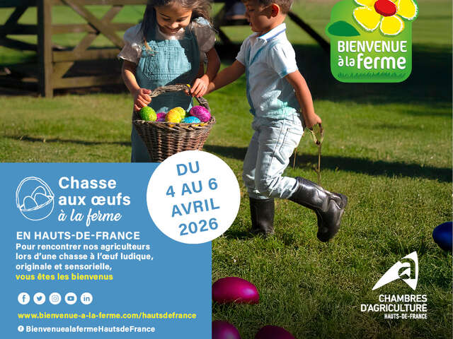 Chasse aux oeufs