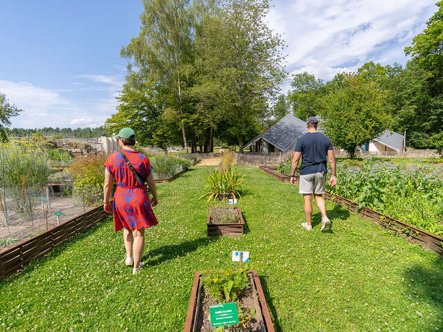 Jardin de plantes médicinales de l'Abbaye de Vauclair