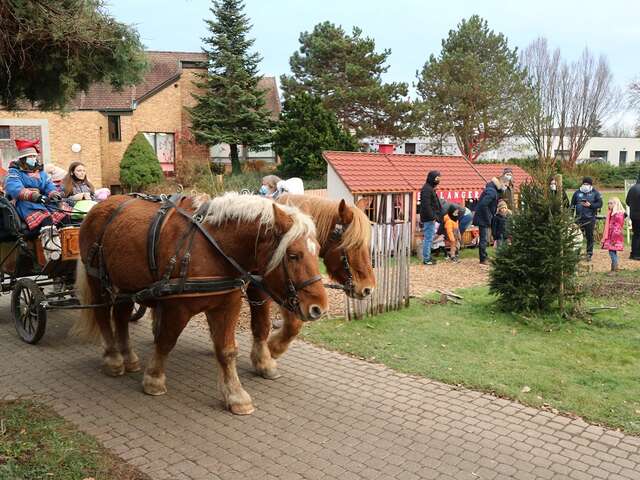 Rides in Santa's carriage