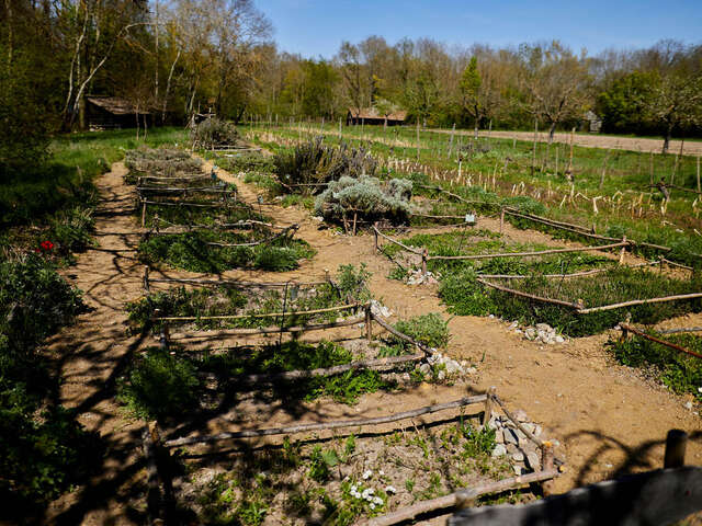 Rendez-vous nature : Secrets et vertus des plantes