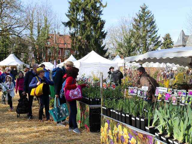 Marché aux plantes