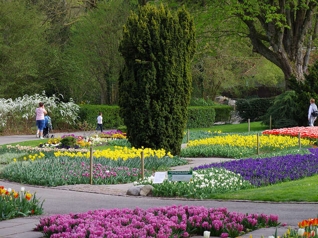 Groaaar ! Le festival de la BD au zoo