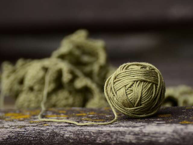 Atelier : Pompons animaux