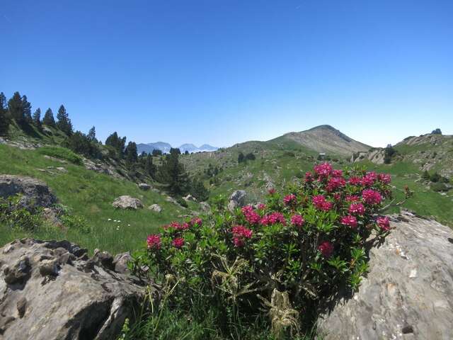 Monsieur Didier CONSTANCE - Accompagnateur en montagne