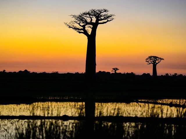 PROJECTION « Sur les routes de l'impossible à Madagascar »