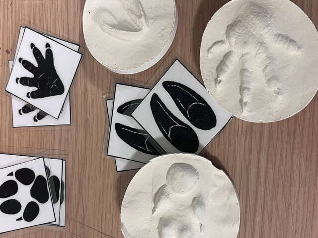 Atelier Bout d'choux Moulage d'empreinte animale