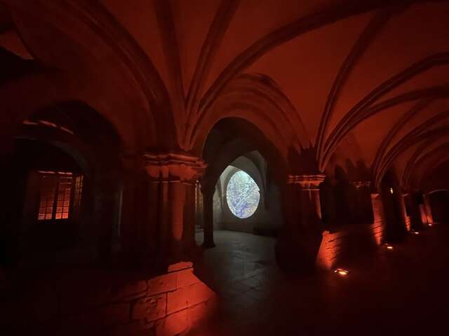 Flâneries lumineuses