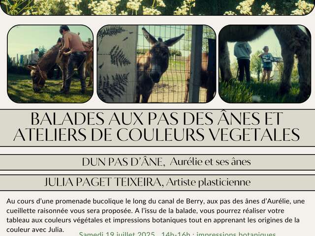 Balade aux pas des ânes et ateliers de couleurs végétales