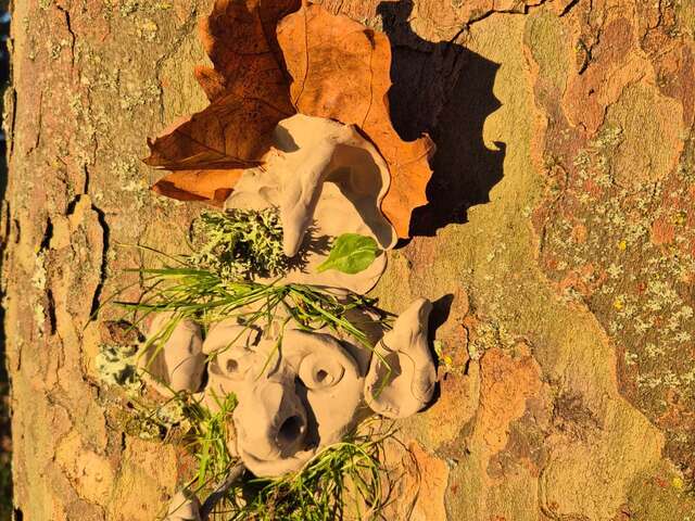 Sortie Nature Halloween