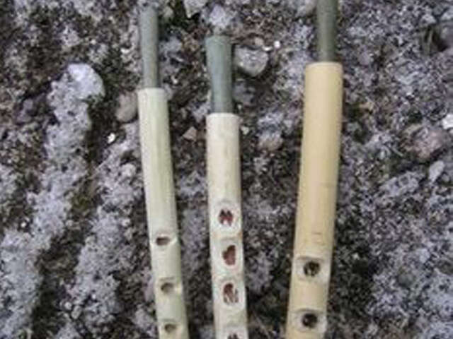 Atelier "Musique verte"