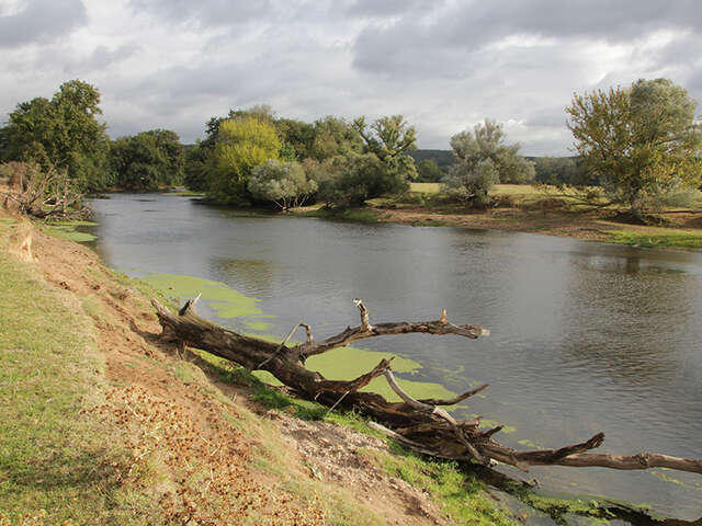 Le bocage de Noirlac en canoë