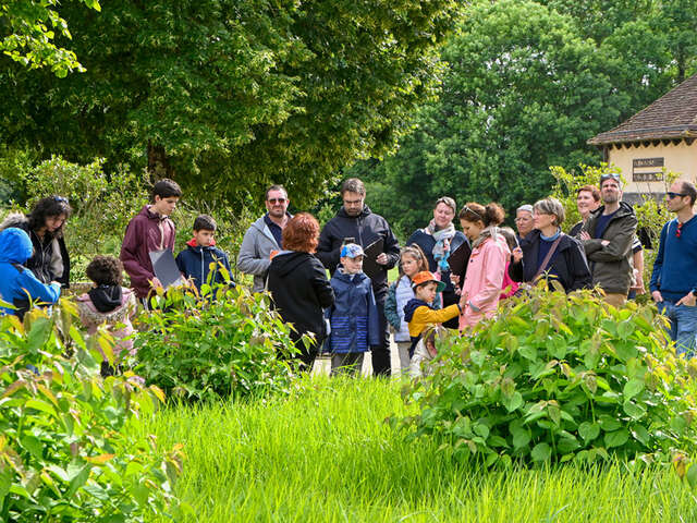 Visite Les jardins monastiques au Moyen Age