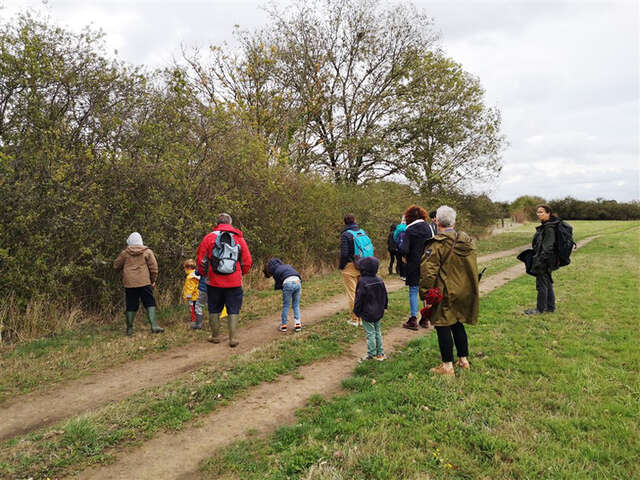 Visite "Les fruits de la haie bocagère"