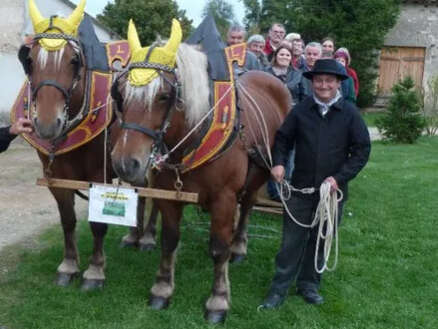 [Noël en Grand Sancerrois]: Balades en calèche