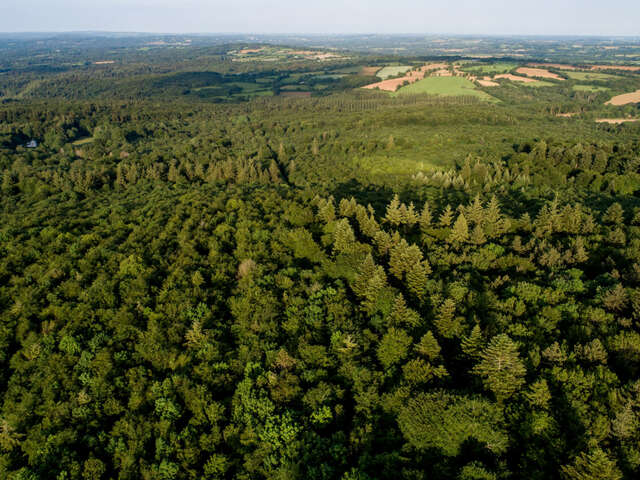 Balade sur le sentier de Job le bûcheron en forêt de Beffou