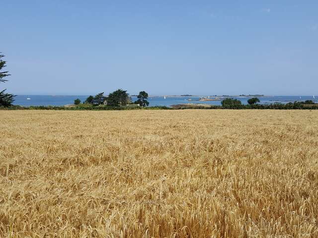 Estuaire du Jaudy