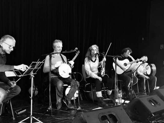 A Whale of Time - Irish Music Band