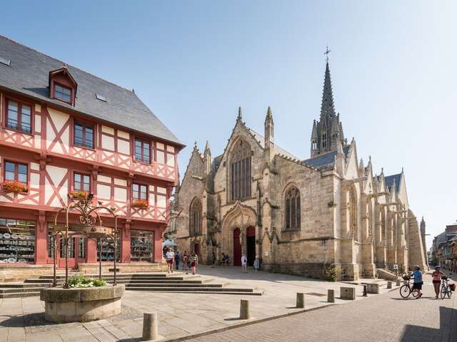 Basilique Notre-Dame du Roncier