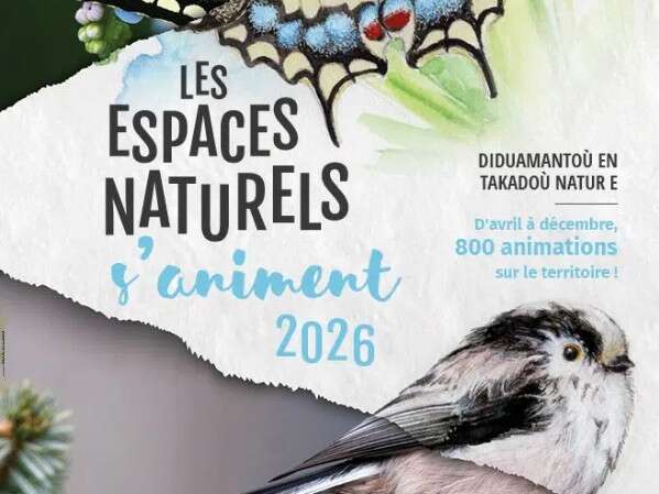 Le quaternaire et l'érosion littorale