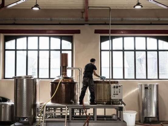 Visite guidée de la Brasserie Warenghem