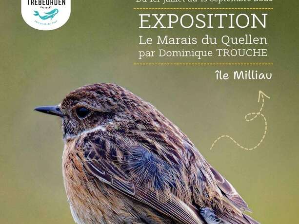 Exposition extérieure - Le marais du Quellen