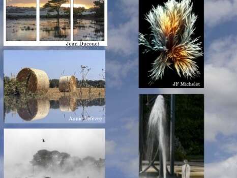 Eclectiques - Photographie
