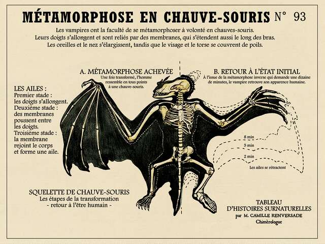 Semaine de Samain - Dans l'antre des chauve-souris, visite nocturne