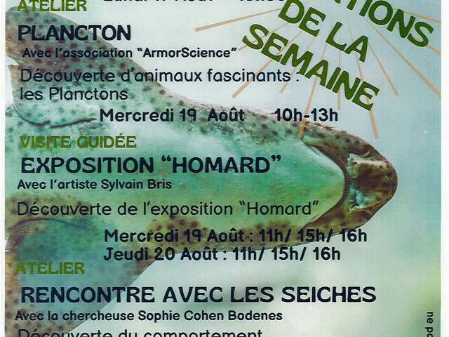 Animations de la semaine - Aquarium Marin Trégastel