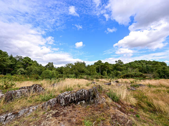 Les Landes de Monteneuf