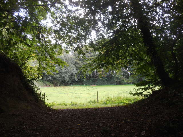 Castel Dû