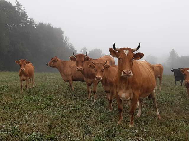 Ferme du Wern