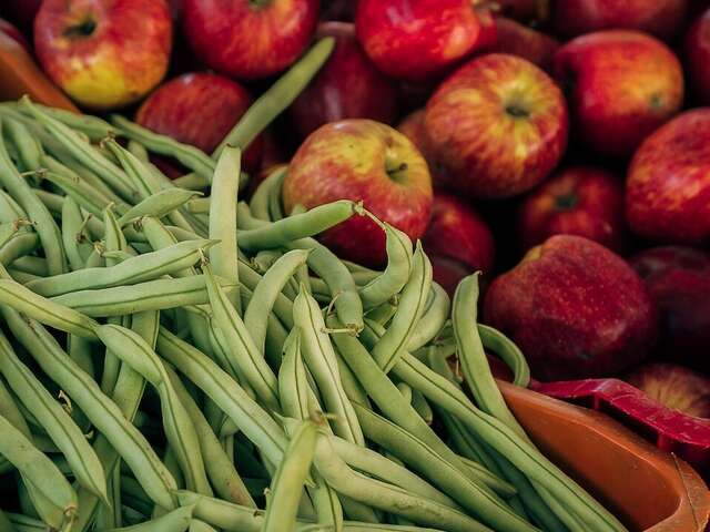 Maraîcher bio - Kevin Charnay - La Ferme du Pou Dingue