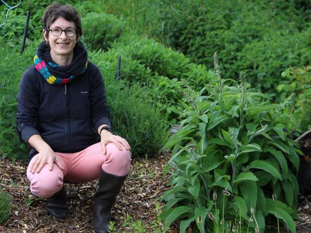 Plantes et fées bénéfiques - Natachat HUET