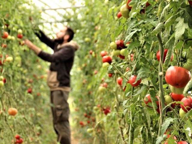 La Ferme Maraîchage bio