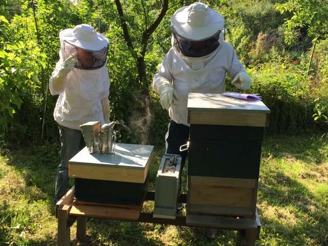 Miellerie de La Louvelais