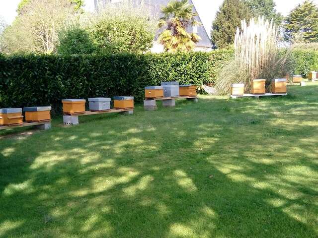 Le Rucher des Cosniers