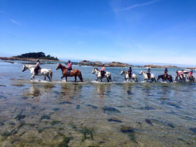 Rulan Equitation