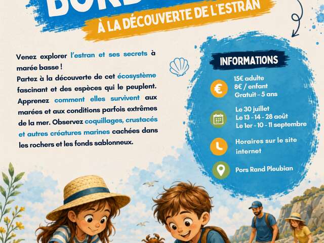 Sortie : estran et bord de mer