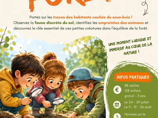 Safari de la foret