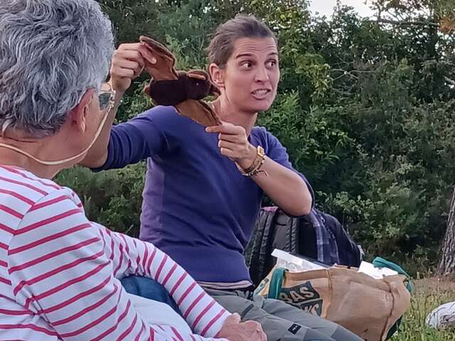 Veillée "A la rencontre des chauves-souris"
